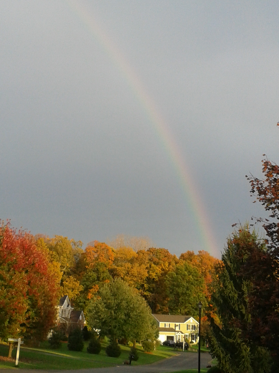 rainbow
