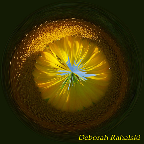orbSunflower100dpi