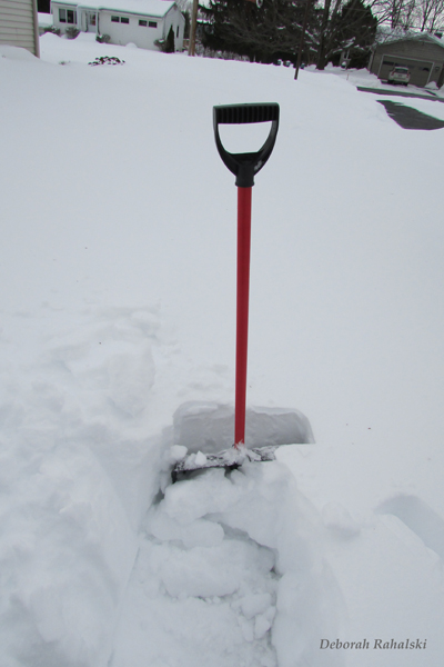 snowshovel80dpi