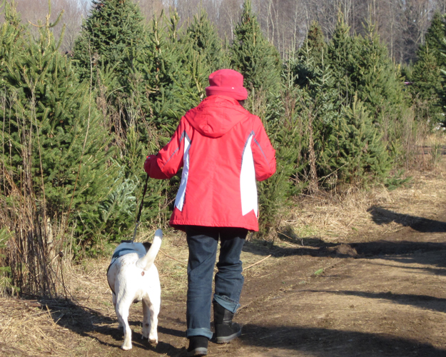 winterwalk100dpi