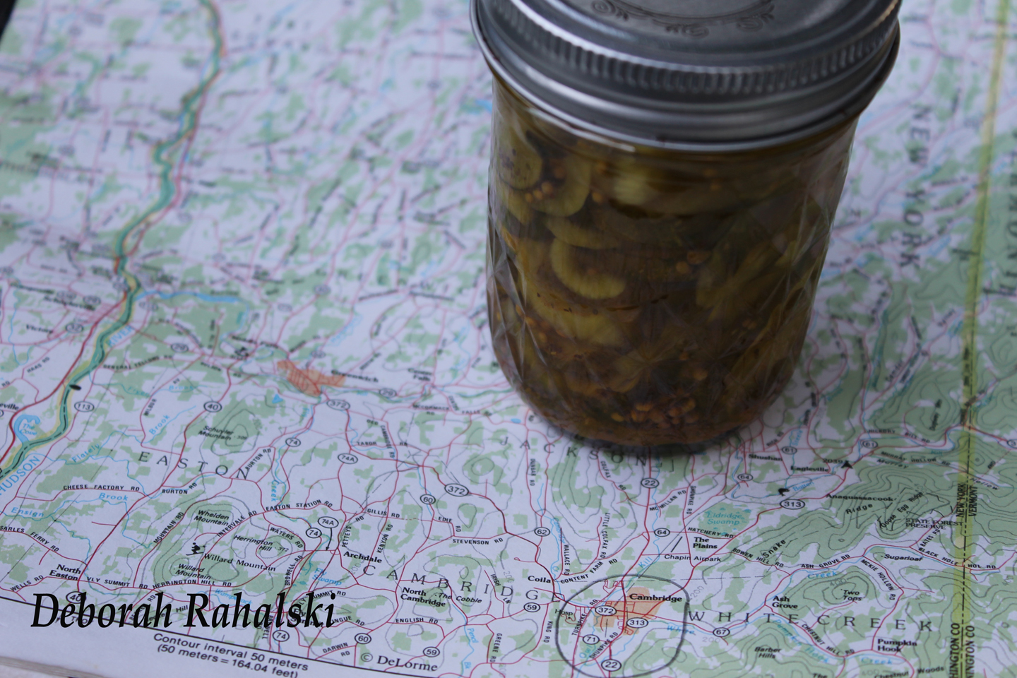 pickles72dpi