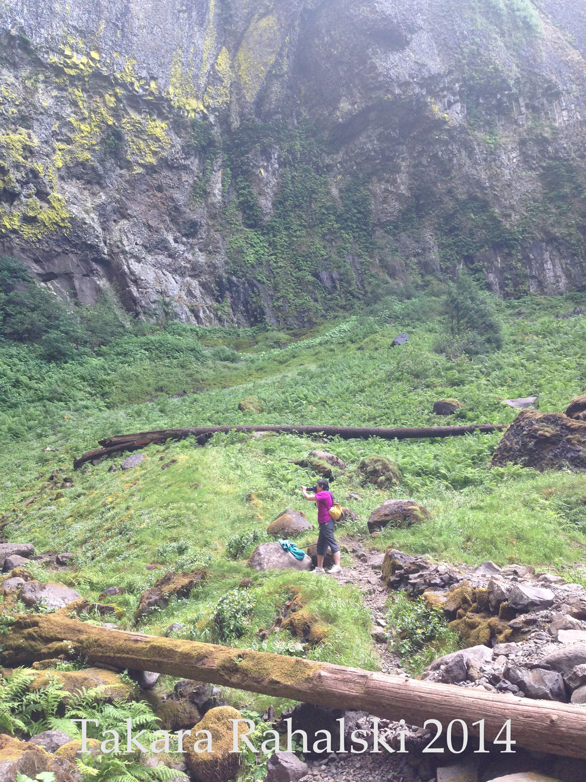 Elowah falls100dpi